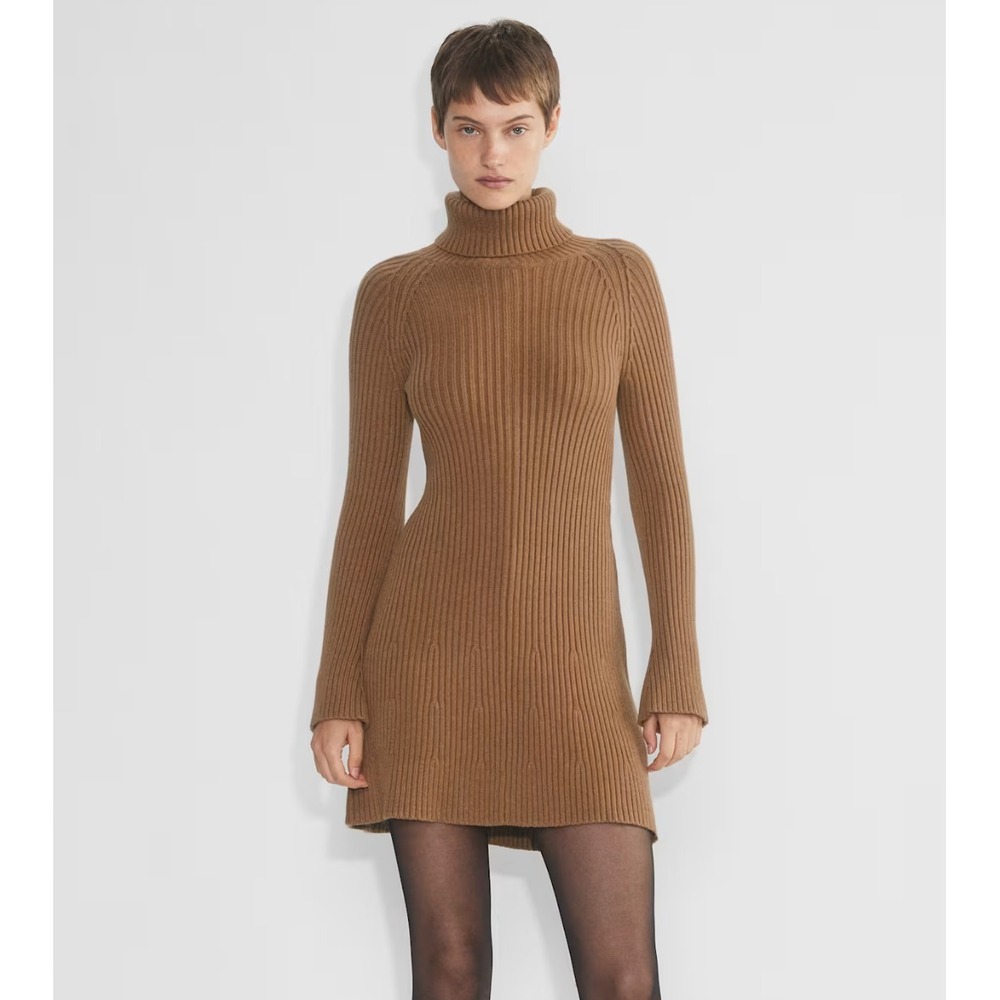 Aritzia Sunday Best Rhapsody Dress, Saville, XS